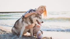 轮回真实存在人和动物之间互转生(图)