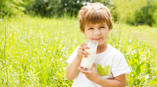 每天喝3杯牛奶就可以摄取到成长期必需的钙质。