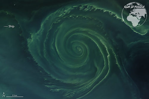 波罗的海惊现直径20公里巨大绿色漩涡