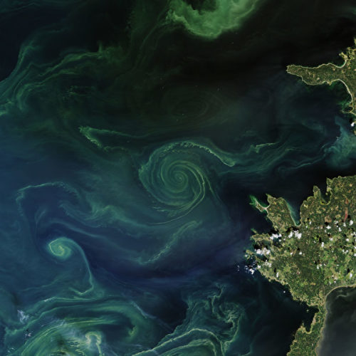 波罗的海惊现直径20公里巨大绿色漩涡
