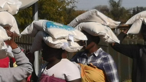 南非首都茨瓦尼日前举办爱心白米发放工作，背着小孩的妇女们头顶2包、每包10公斤白米，欢喜回家过冬。