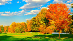 秋吃果冬吃根入秋以後就應該這樣吃(圖)