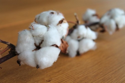棉花是传统的保暖材料。