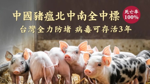 中國大陸非洲豬瘟持續蔓延台灣全力防堵