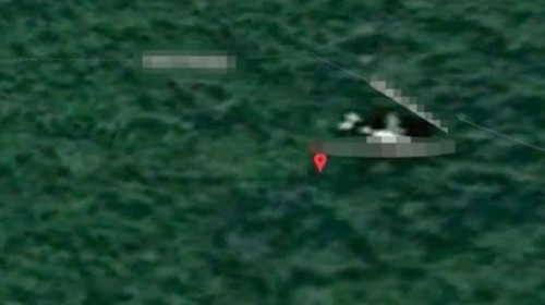 英國Google Map技術專家威爾森聲稱，MH370客機殘骸隱沒於柬埔寨密林深處。