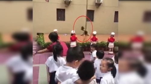 深圳一家幼兒園在舉行開學典禮時，邀請女子表演鋼管舞，讓家長們吃驚