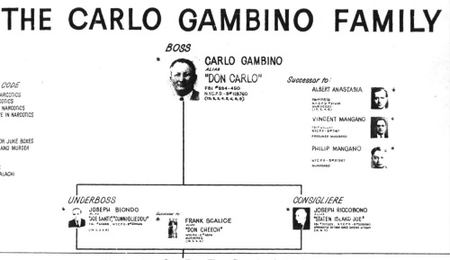 甘比諾犯罪家族最主要成員