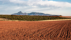 不起眼的黃土居然能當作藥救人無數(圖)