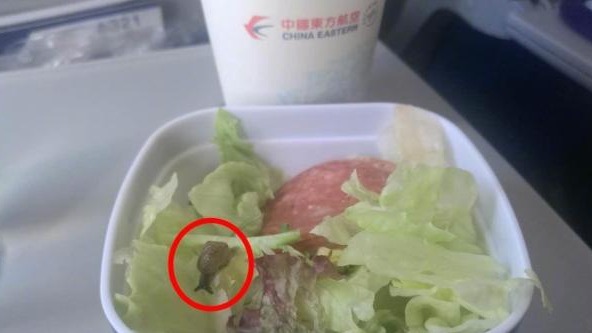 飛機餐蔬菜沙拉中出現活蝸牛。