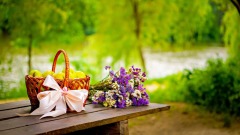 时间识人落难知心(组图)