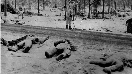 苏联 芬兰 战争
