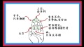 你想和諸葛亮一樣精準預測嗎掐指算命妙招在此(圖)