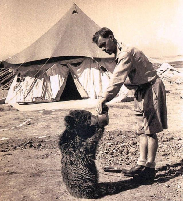 小沃伊泰克儼然一隻活生生的小泰迪熊。