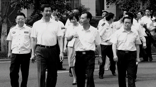 薄熙来主政重庆后高调开展打黑，重庆司法局原局长文强被执行死刑。