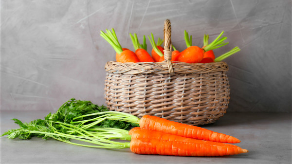 老年人应多吃胡萝卜，其所含的胡萝卜素，可转化为维生素A，保护视力。