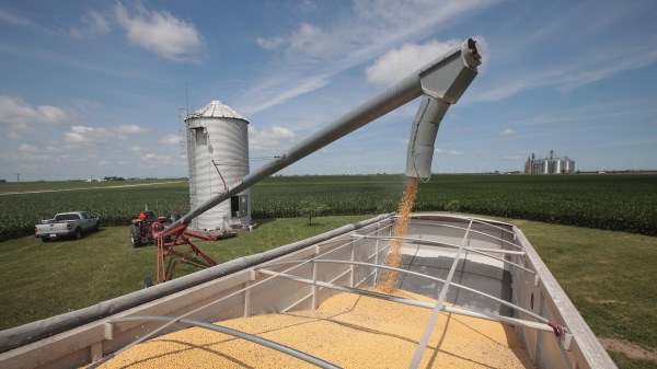 伊利诺伊州的大豆农场。（图片来源：Scott Olson/Getty Images）