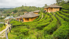 是自己的不丢不是自己的强要也要不来(图)