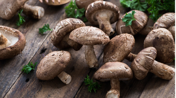 香菇所含的香菇多糖體是最強的免疫劑和調節劑，是一種很好的預防癌症的食物。
