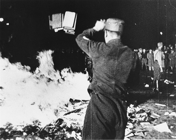 焚书：德国整整一代知识分子的羞耻
