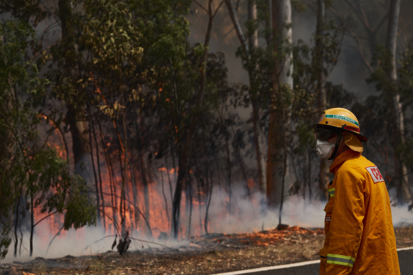 澳洲大火很多是鳥放的火