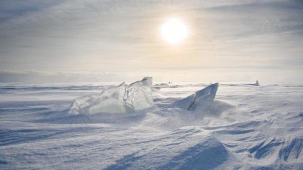 南极传说：神秘的海中巨兽