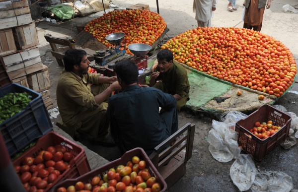 卖西红柿的巴基斯坦商贩