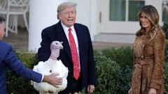 宣布全國感恩日川普:懷著敬畏感激造物主的賜予(圖)