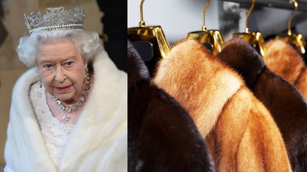 英国女王伊丽莎白二世加入拒穿真皮草的行列，白金汉宫今天证实，未来女王任何新衣只要有皮草都是假皮草。