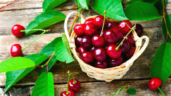 樱桃是痛风治疗中的“明星水果”，具有一定的降尿酸作用。