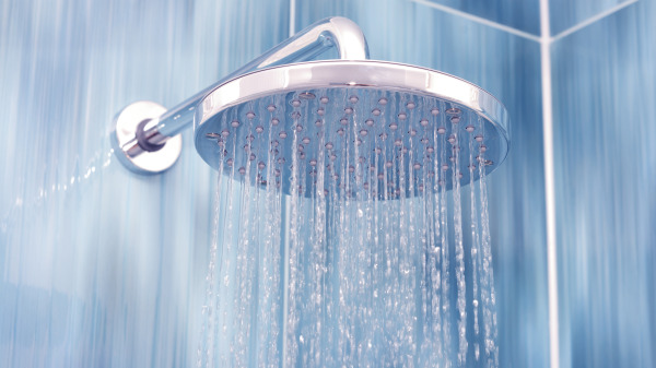 黴菌可以生長在浴室、蓮蓬頭裡。