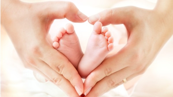 美國政府再次提出，將終止以胎兒組織為測試樣本的研究。
