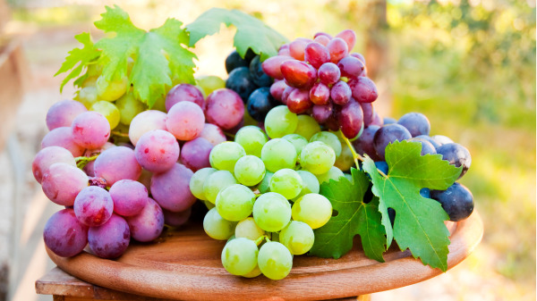在活血化瘀的果蔬中，葡萄讓血液暢通的功能最好，特別是葡萄皮。