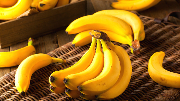 早上锻练前，一定要吃上一点容易消化的东西，比如香蕉、葡萄干等。