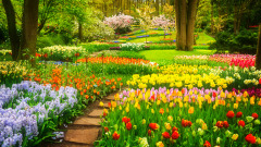 有人养花养得那么好原来是有花神管着(图)