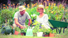 研究:长寿办法很简单这个爱好助你长命百岁(组图)