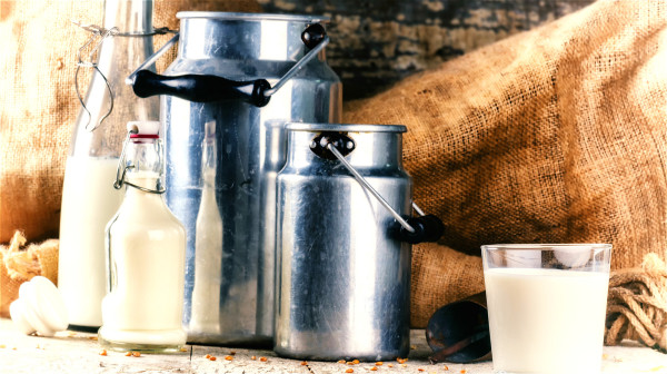 牛奶味甘平，具有补虚损、益肺胃、生津润肤的作用。