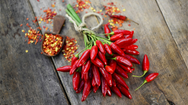 辣椒素是通过肾脏排泄，吃辣椒太多会对肾脏有刺激作用，加重肾脏的负担