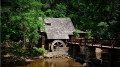 美國流通紀念幣中的人文常識(七)(組圖)