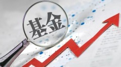公募基金沒落的背後:對A股未來無信心(圖)