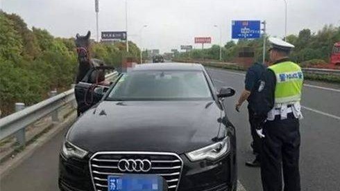 中國江蘇省南通海安街頭最近出現了驚人一幕，有一名男子開著奧迪轎車，還遛起了「寶馬」……