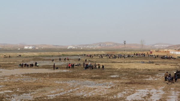 2011年4月，朝鲜集体农场的工人聚集在南Phyongan省南浦港附近耕地