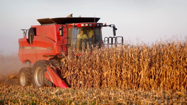 美国总统川普周五宣布一项190亿美元的救济计划，以帮助美国农民应对武汉肺炎疫情所造成的冲击。图为美国农民正在收割玉米。（图片来源：Scott Olson/Getty Images）