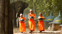 冤冤相报何时了转生报仇还不了(图)