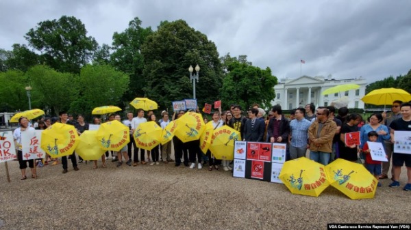几十人星期天下午两点在白宫北面反对香港《逃犯条例》修订 (图片来源：任敬扬/美国之音） 