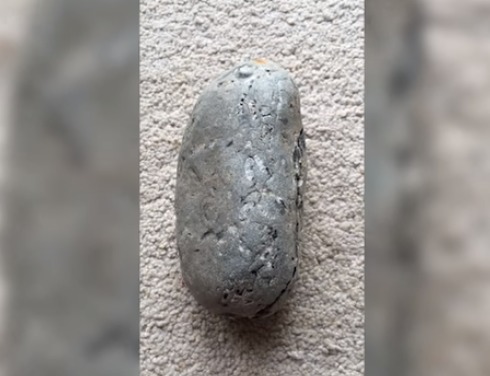 他10歲時撿了顆怪石頭 35年後掰開尖叫：是寶藏！