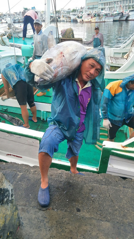 許振華（前）從28歲開始擔任扛魚工，為目前屏東東港魚市中，底下扛魚工人手最多的工頭。