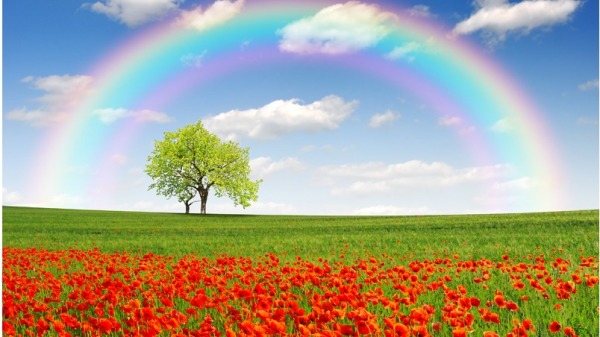 人生經歷風雨後，方能看見絢麗的彩虹。（圖片來源：Adobe Stock）