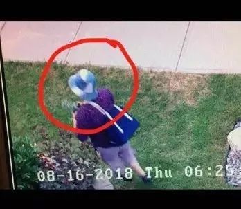 華人大媽到別人院子偷花被拍下!視頻太尷尬
