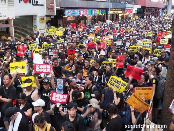 2019年七一，市民上街遊行反對政府修訂《逃犯條例》。（攝影：李天正/看中國）