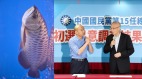 凶兆韩国瑜胜初选“风水池”龙鱼竟跳池亡(组图)